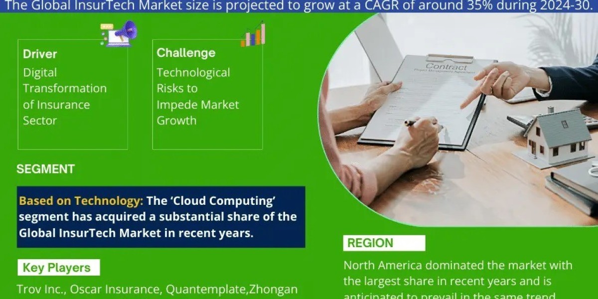 InsurTech Market Analysis 2024–2030: Size, Share & Future Outlook