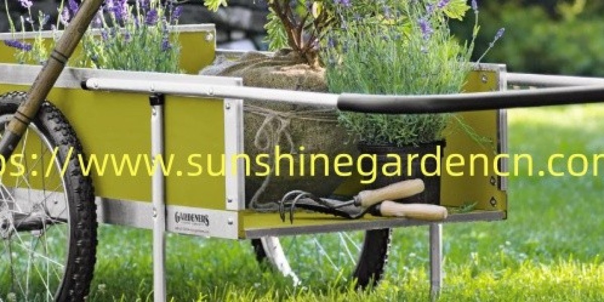 How Can Sunshinegardencn More Garden Supplies Support Outdoor Planning
