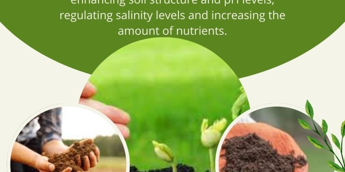 Soil Treatment Australia: Practical Solutions for Healthier, More Productive Soil