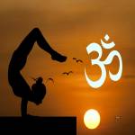 shailza rathore Profile Picture
