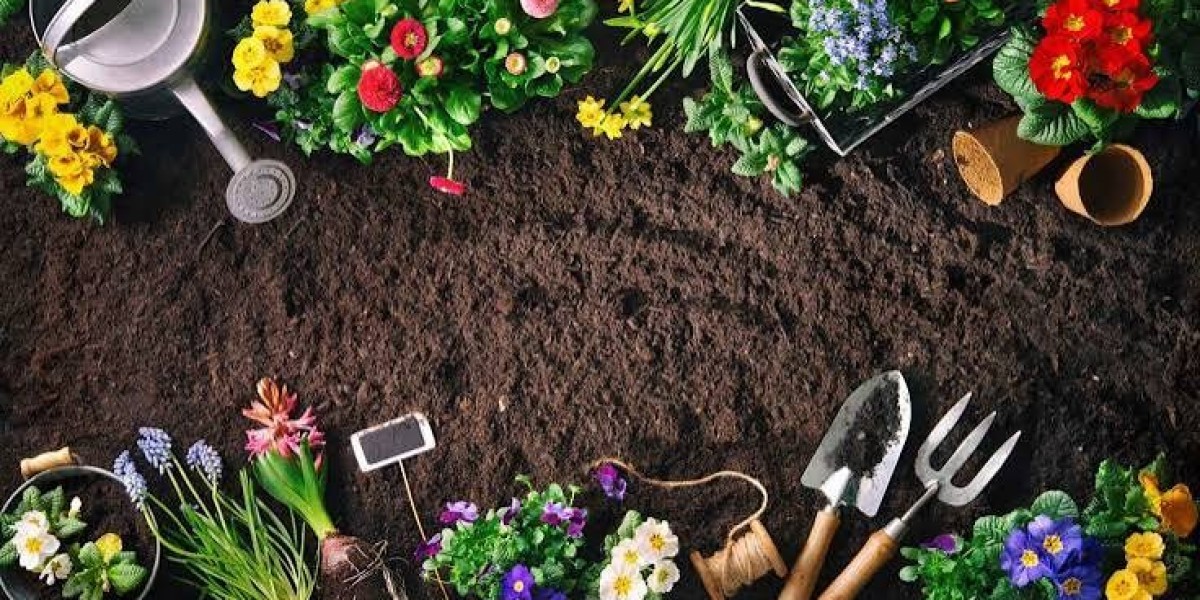How Can Best Planting Services in Gainesville, GA Improve Your Yard?