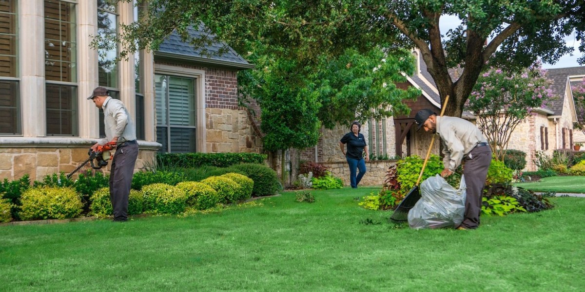 Texterra Lawn & Landscaping LLC: Reliable Lawn Care Grapevine TX for Local Properties