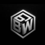 Business Warriors Profile Picture