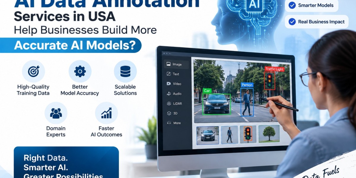 Can AI Data Annotation Services in USA Help Businesses Build More Accurate AI Models?