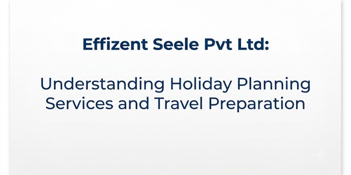 Effizent Seele Pvt Ltd: Understanding Holiday Planning Services and Travel Preparation