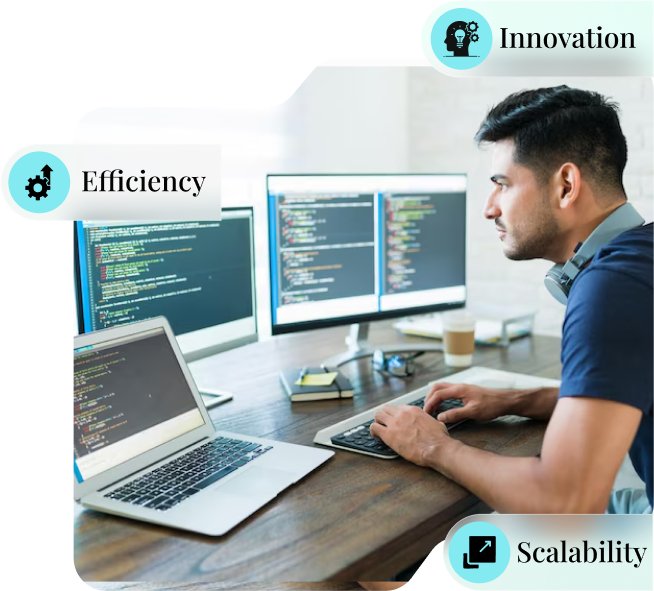 Leading Custom Software Development Services | PrimaFelicitas