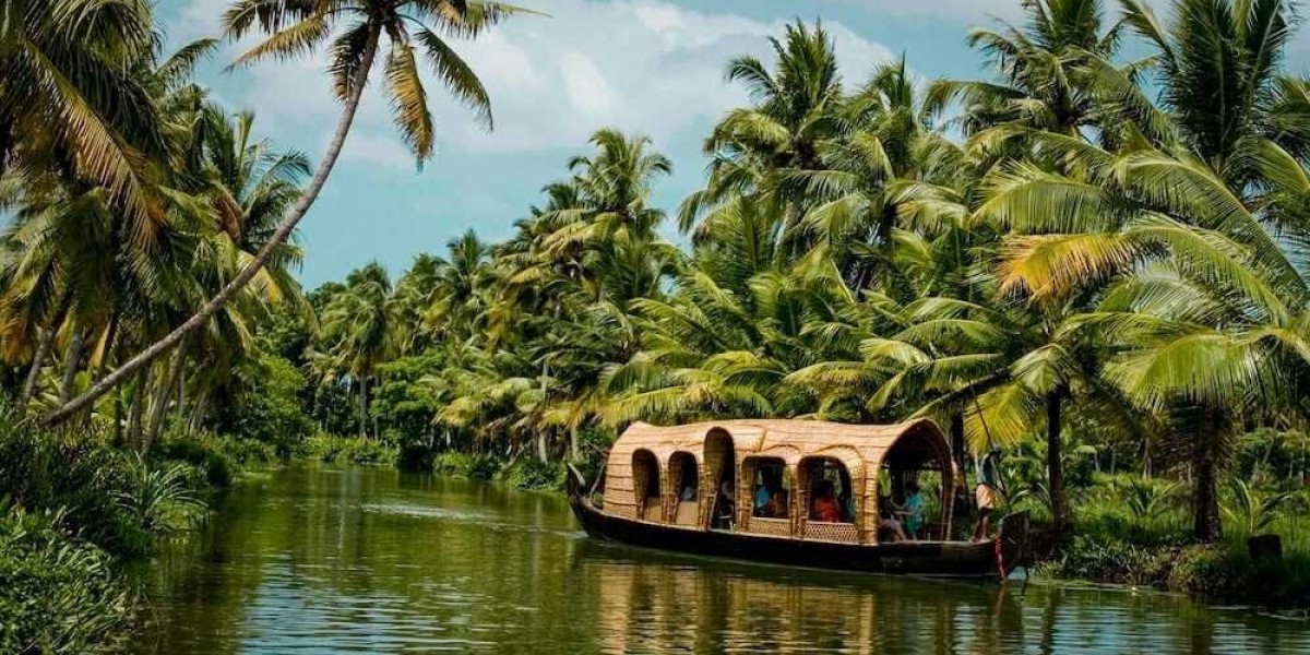 Beyond the Backwaters: Why Wayanad Should Top Your Kerala Holidays Itinerary
