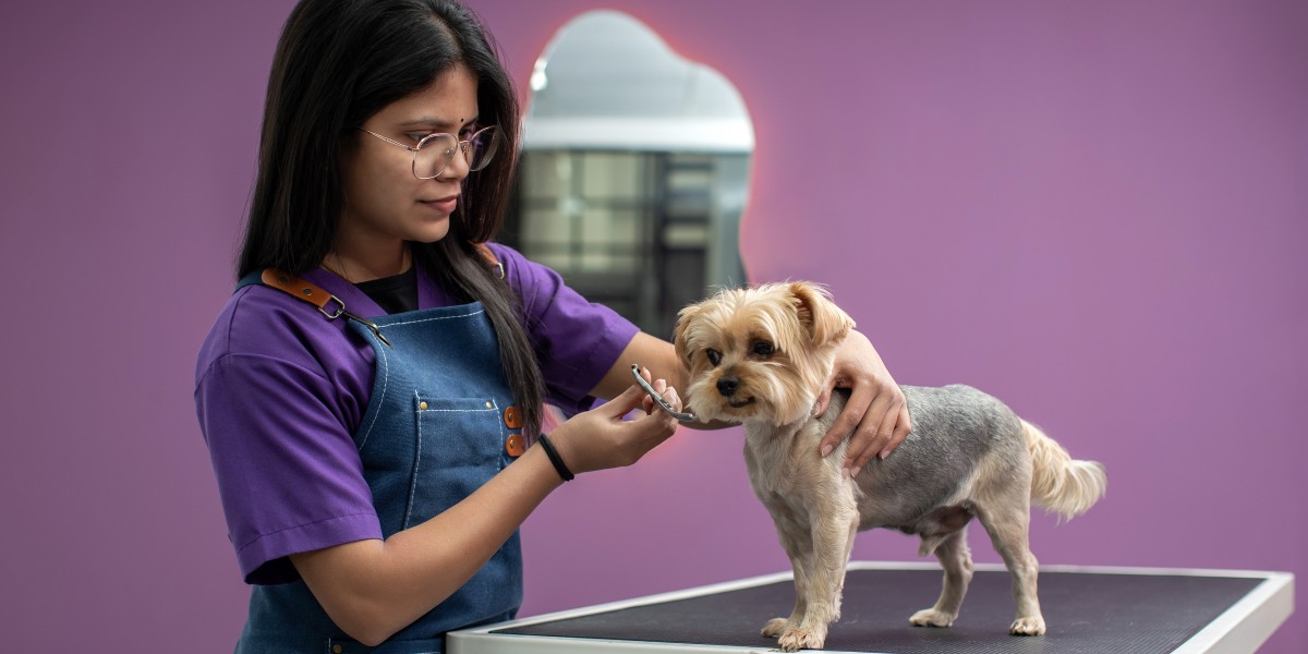 Mobile Grooming vs Salon Grooming: Which Is Better for Your Dog in Dubai?