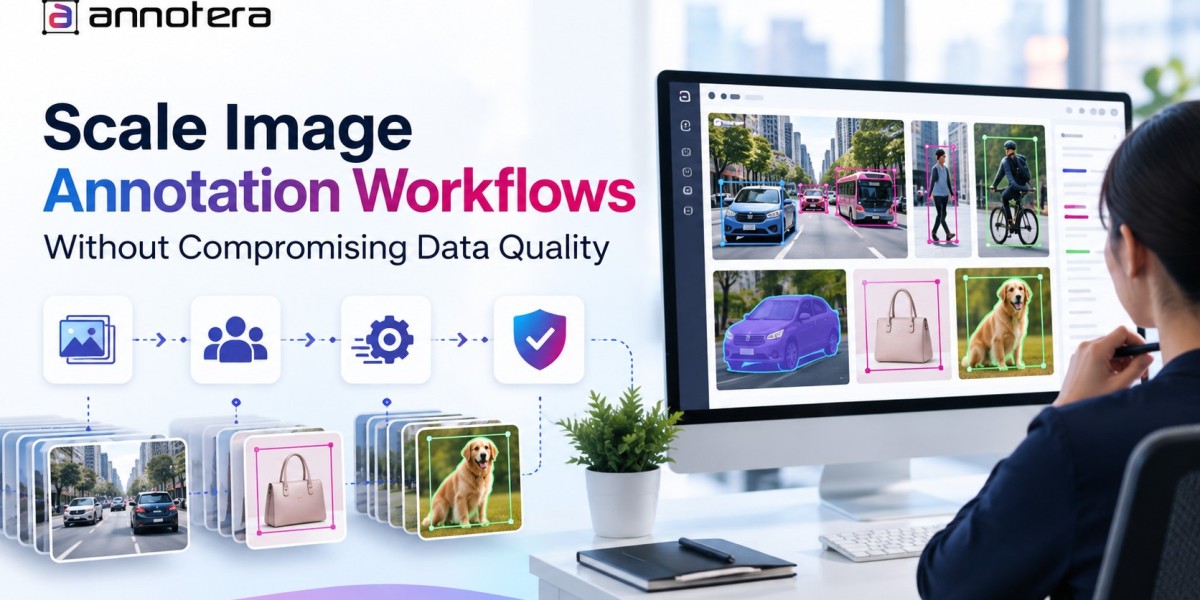 How to Scale Image Annotation Workflows Without Compromising Data Quality