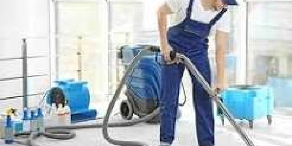 What Should You Know About pro clean carpet Before Booking a Service?